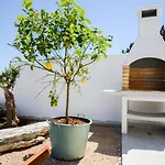Olea Mare Zadarvillas Villa Veli Rat