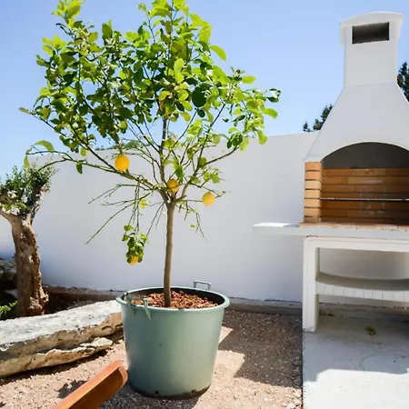 Olea Mare Zadarvillas Villa Veli Rat