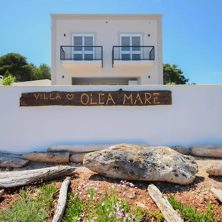 Villa Olea Mare Zadarvillas Veli Rat