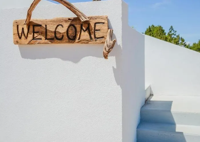 Olea Mare Zadarvillas